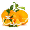 Orange Valencia