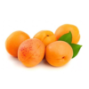 Apricot Jordan