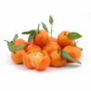 Mandarin Murcott Egypt 1 kg